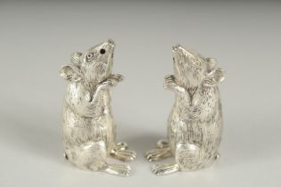 A PAIR OF .800 SILVER PLATED MICE SALT AND PEPPERS. 5cm high.