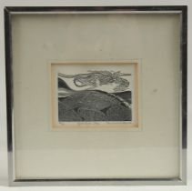 Sarah Van Niekerk (1934-2018), 'Offa's Dyke', woodcut, signed, inscribed and numbered in pencil.