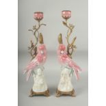 A PAIR OF PINK PORCELAIN AND GILT METAL PARAKEET CANDLESTICKS. 16ins high.