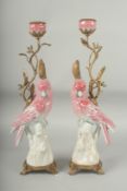 A PAIR OF PINK PORCELAIN AND GILT METAL PARAKEET CANDLESTICKS. 16ins high.