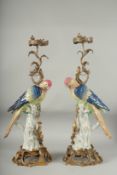 A GOOD PAIR OF BLUE PORCELAIN PARAKEET CANDLESTICKS with gilt metal candle holders, standing on a
