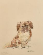 Harry Rountree (1878-1950), a study of a small dog, watercolour and pencil, signed and inscribed 'To