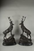 AFTER JULES MOIGNIEZ. A GOOD PAIR OF BRONZE STAGS standing on a rocky base. Signed, with marble