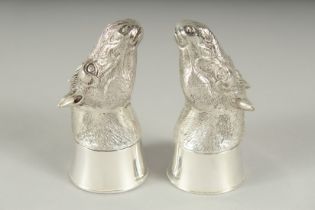 A PAIR OF .800 SILVER PLATED HORSES'S HEADS SALT AND PEPPERS. 7cm high.