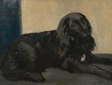 Sydney Merrills (20th Century) A portrait of a long haired black dog, oil on canvas, signed,