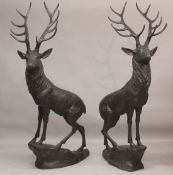 AFTER JULES MOIGNIEZ. A GOOD MASSIVE PAIR OF BRONZE STAGS on rocky bases. 6ft 3ins high.