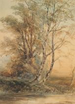 Late 19th Century English School, a study of trees by a river, watercolour, 24" x 17.5" (61 x 44.