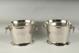 A PAIR OF CHAMPAGNE OVAL RING HANDLE BOTTLE COOLER. 13ins long x 10ins high.
