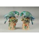 A GOOD PAIR OF PORCELAIN PARAKEETS standing on tree stumps, encrusted with fruit.