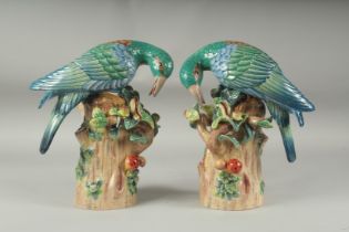 A GOOD PAIR OF PORCELAIN PARAKEETS standing on tree stumps, encrusted with fruit.