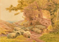 Henry Birtles (1838-1907) British, sheep resting in a sunlit glade at the edge of a wood,