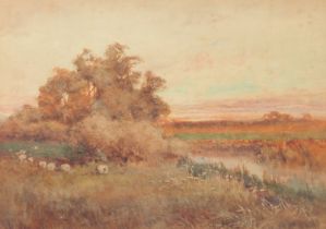 A summers evening landscape by the river with a flock of sheep wandering, watercolour,