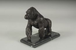 A BRONZE GORILLA on a marble base. 7ins high.
