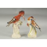 TWO PORCELAIN EXOTIC BIRDS on a tree stump. 8ins & 7.5ins high.