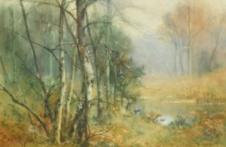 Taylor Ireland, A misty morning along the river with Silver Birch trees and a bird by the water's