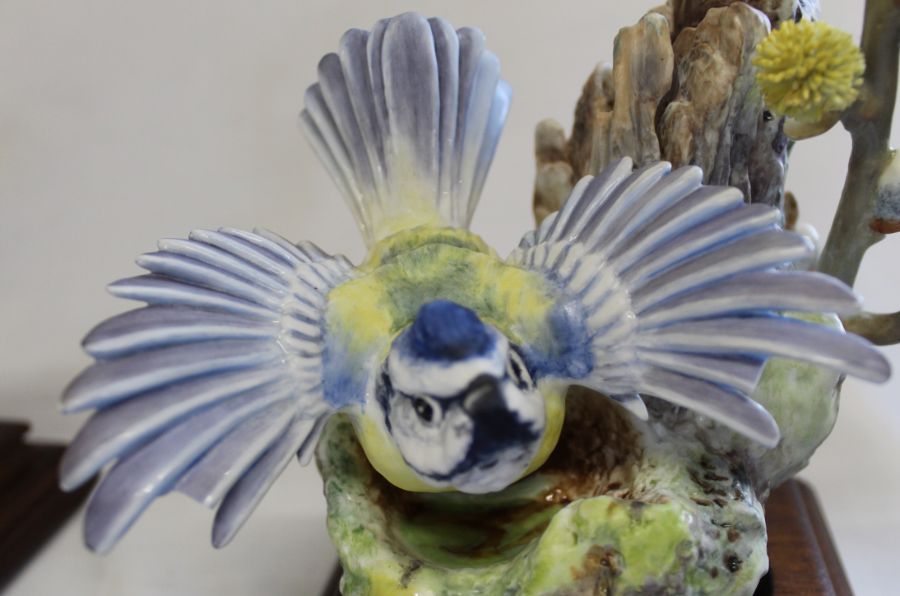 2 Royal Worcester models of Blue Tit & Pussy Willow (cock & hen) modelled by Dorothy Doughty on - Image 6 of 6