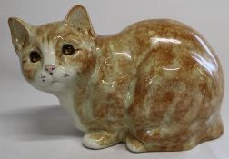 Large Winstanley ginger cat, size 5, signed to base
