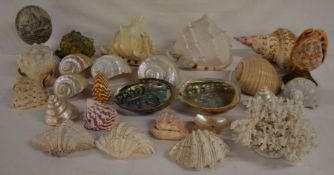 Wicker basket containing large sea shells, coral & a replica Scrimshaw ostrich egg