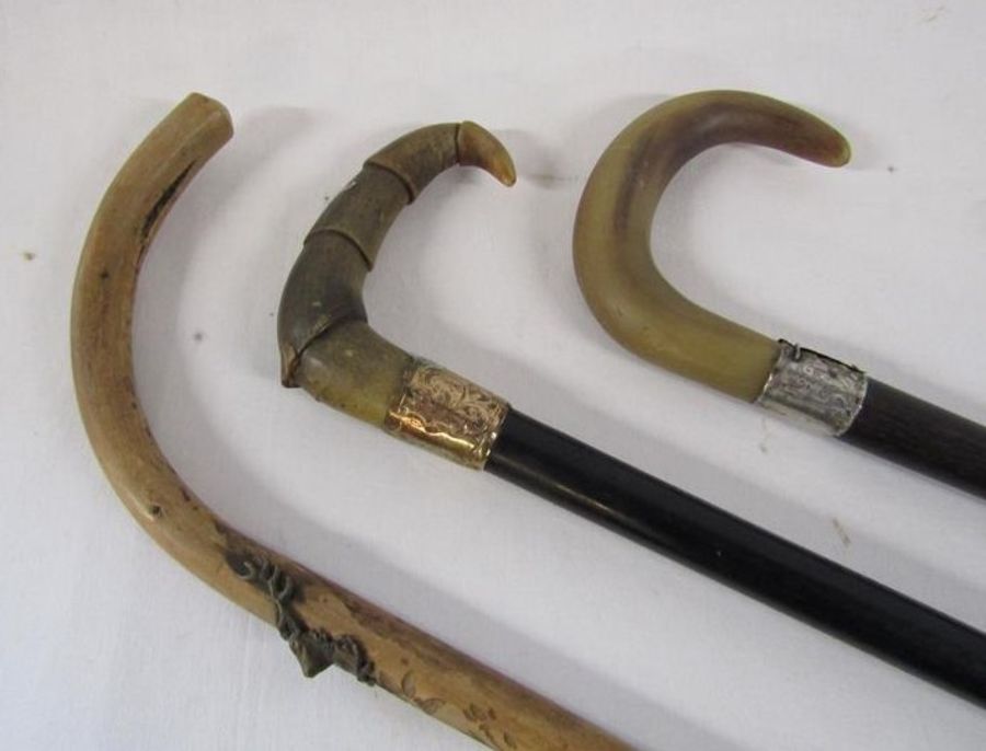 3 walking canes - wooden with stick badges, shaped horn handle and yellow metal collar and rounded - Image 5 of 8