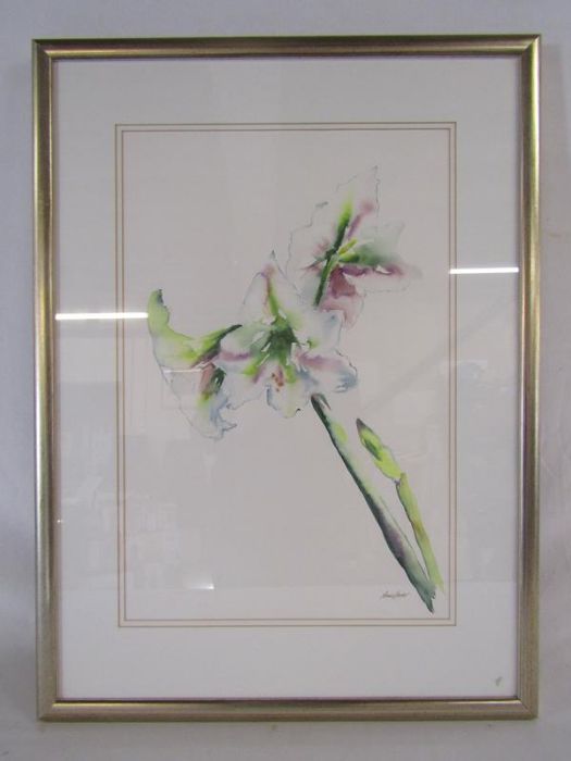 'White Amaryllis' watercolour signed Ann Gover approx. 76.5cm x 56.5cm - Image 2 of 5