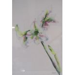 'White Amaryllis' watercolour signed Ann Gover approx. 76.5cm x 56.5cm