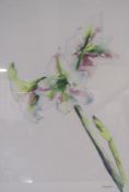 'White Amaryllis' watercolour signed Ann Gover approx. 76.5cm x 56.5cm