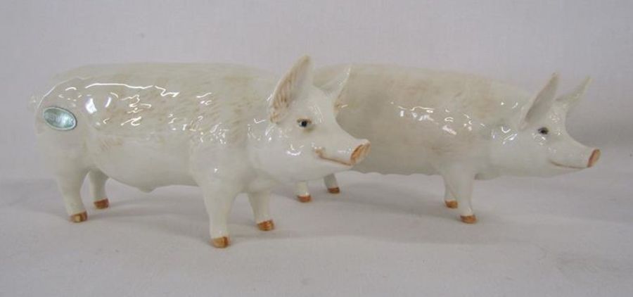 Beswick pigs 'CH. Wall Queen 40' and 'CH Wall Champion Boy 53'