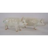 Beswick pigs 'CH. Wall Queen 40' and 'CH Wall Champion Boy 53'