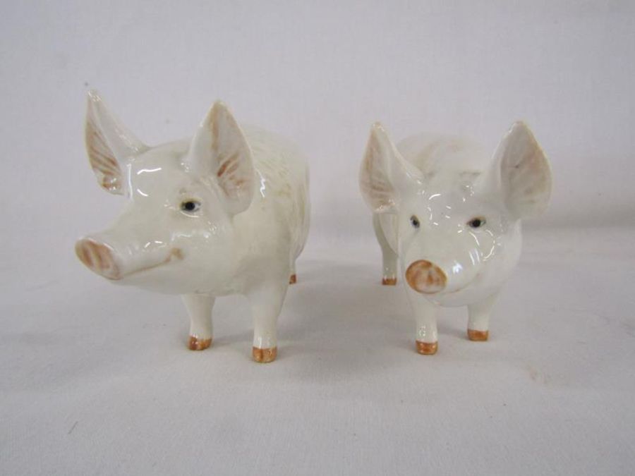 Beswick pigs 'CH. Wall Queen 40' and 'CH Wall Champion Boy 53' - Image 2 of 6