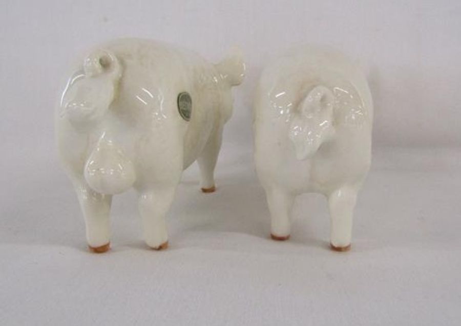 Beswick pigs 'CH. Wall Queen 40' and 'CH Wall Champion Boy 53' - Image 4 of 6