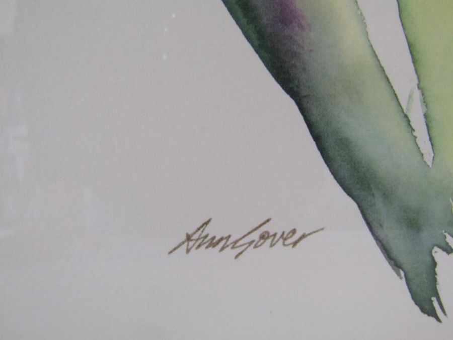 'White Amaryllis' watercolour signed Ann Gover approx. 76.5cm x 56.5cm - Image 3 of 5