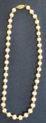 Small pearl necklace with clasp marked 585 (14ct)