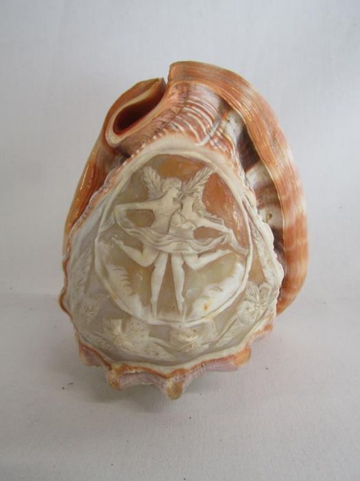 Staffordshire decorated jug, engraved conch shell, green squirrel crocus planter and child's - Image 5 of 5