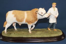 Country Artists Simmental Bull "The Parade" with box (base 45cm wide)