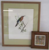 Linda Van Someren limited edition print 170/200 'White-fronted bee-eater' approx. 62cm x 51.5cm