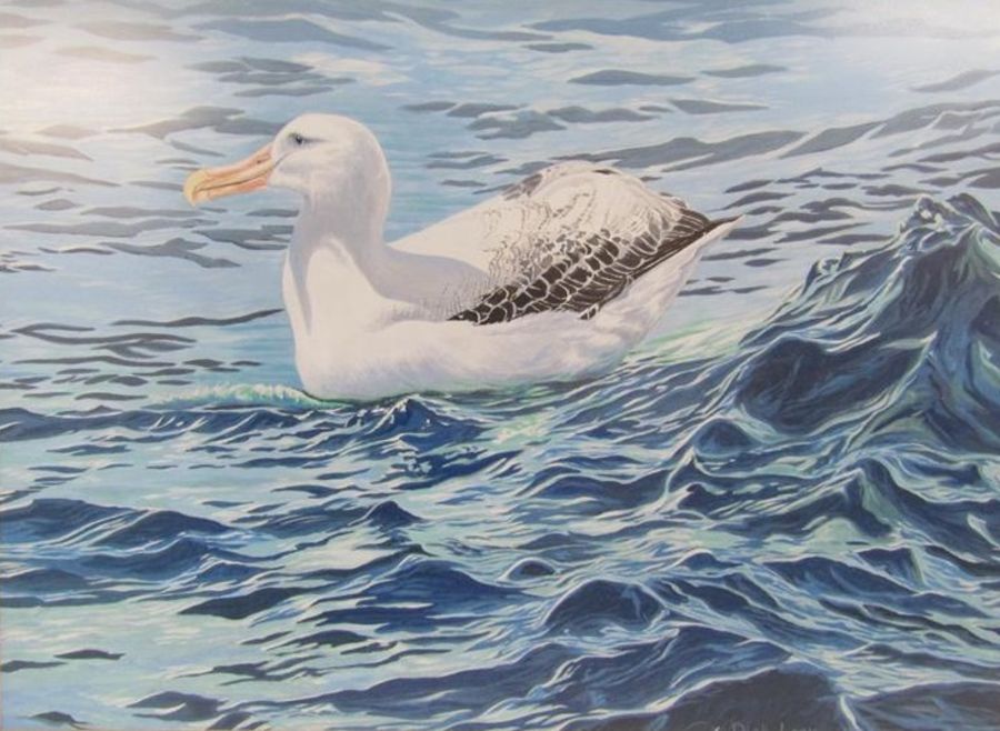 Dick Laws 1987 signed acrylic on board depicting a Wandering Albatross on the sea - approx. 62.5cm x