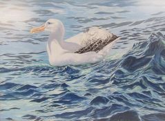 Dick Laws 1987 signed acrylic on board depicting a Wandering Albatross on the sea - approx. 62.5cm x