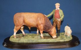 Country Artists Limousin Bull "The Champions Reward" with box (base 44cm wide)