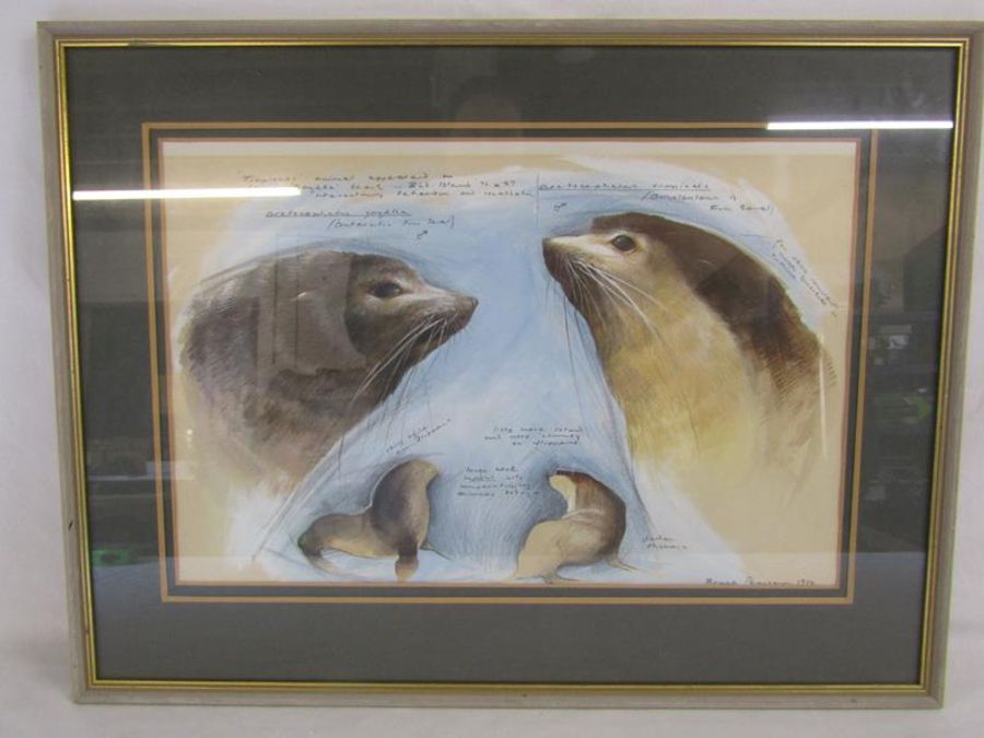 Bruce Pearson 1977 signed mixed artwork depicting arctic fur seal and description including latin - Image 2 of 5
