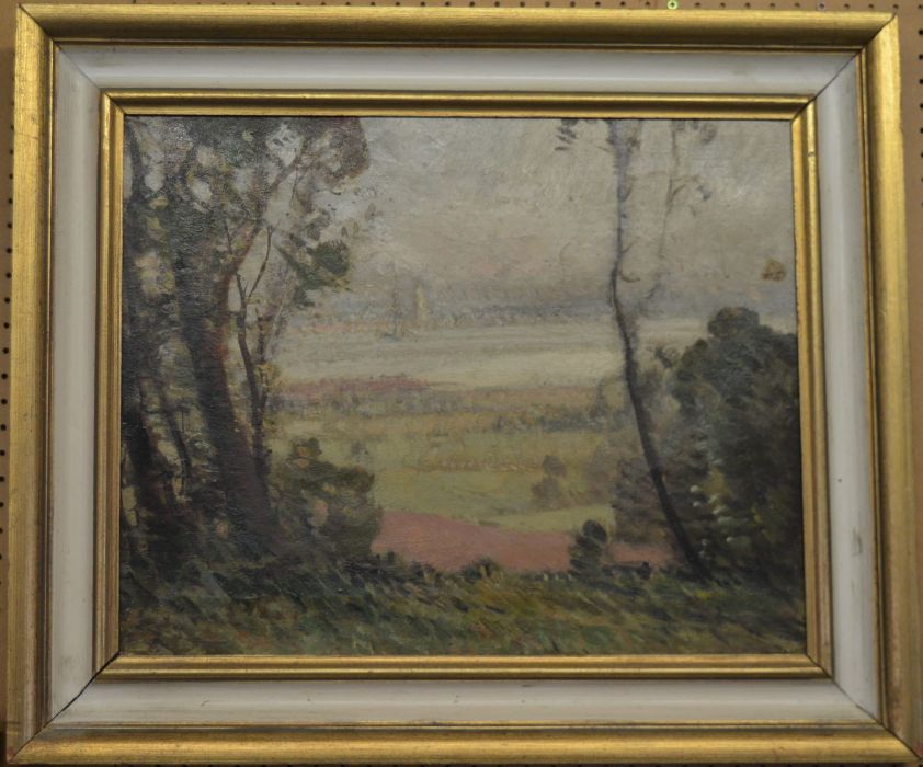 Framed oil on canvas landscape with woodland in the foreground & boats on a river in the distance in - Image 2 of 3