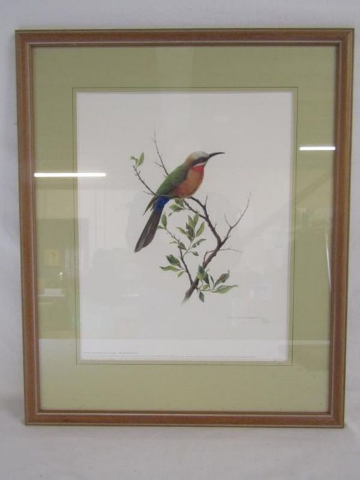 Linda Van Someren limited edition print 170/200 'White-fronted bee-eater' approx. 62cm x 51.5cm - Image 2 of 10