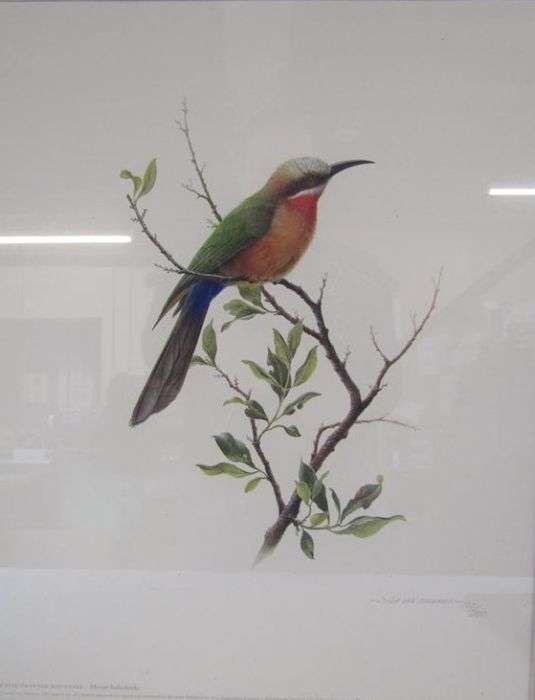 Linda Van Someren limited edition print 170/200 'White-fronted bee-eater' approx. 62cm x 51.5cm - Image 3 of 10