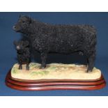 Border Fine Arts Cattle Breeds Galloway Cow & Calf A3790 with box (base 21.5cm wide)