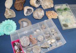 Selection of fossils, glass pieces found at the beach, rocks & crystals