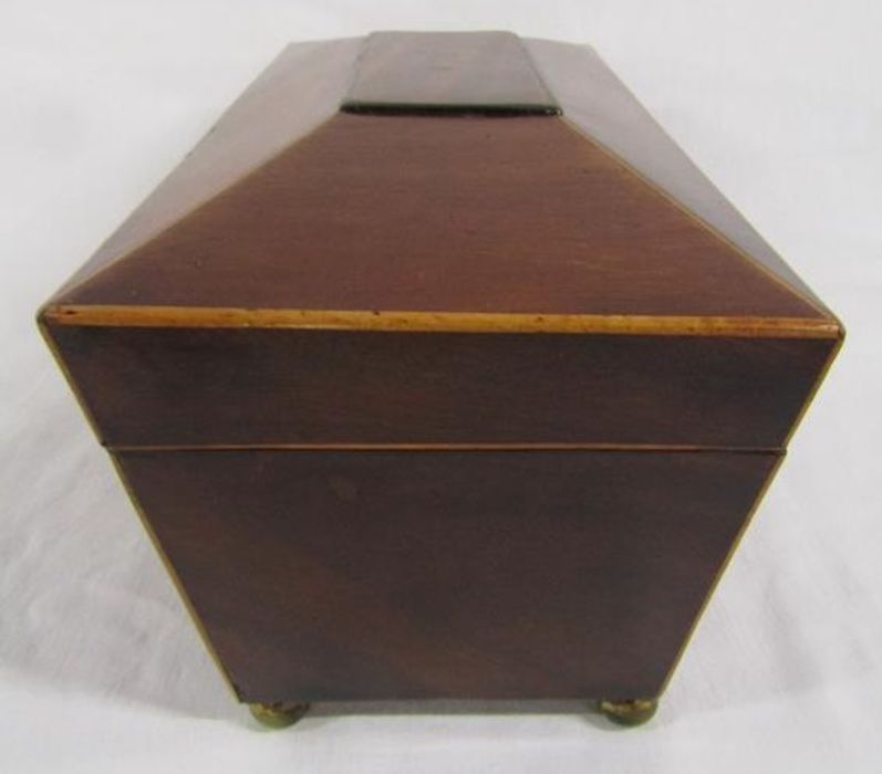 19th century mahogany sarcophagus tea caddy - Image 4 of 6