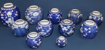 11 Chinese blue & white ginger jars of varying size with prunus blossom decoration