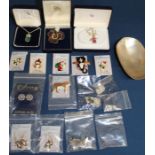 Selection of enamel pin badges, earrings, abalone costume jewellery & mother of pearl shell etc.