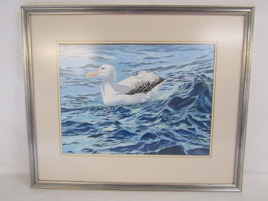 Dick Laws 1987 signed acrylic on board depicting a Wandering Albatross on the sea - approx. 62.5cm x - Image 2 of 4