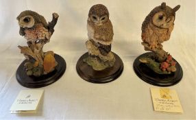 3 Large Country Artists Owls, including a "long eared owl" with damage to ears and "little owl"