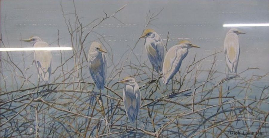 Dick Laws 1981 signed watercolour depicting Cattle Egrets - approx. 64cm x 41cm - Richard Maitland